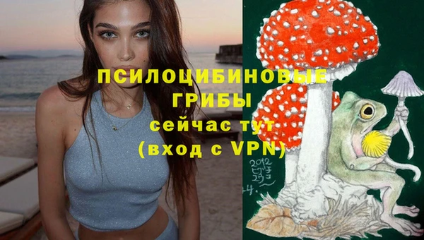 ECSTASY Вяземский