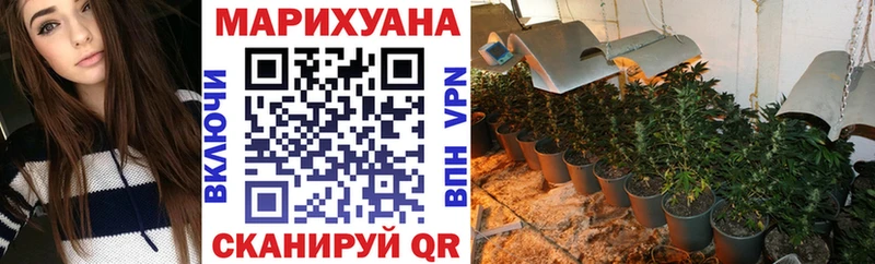 Конопля OG Kush дарнет шоп Кызыл